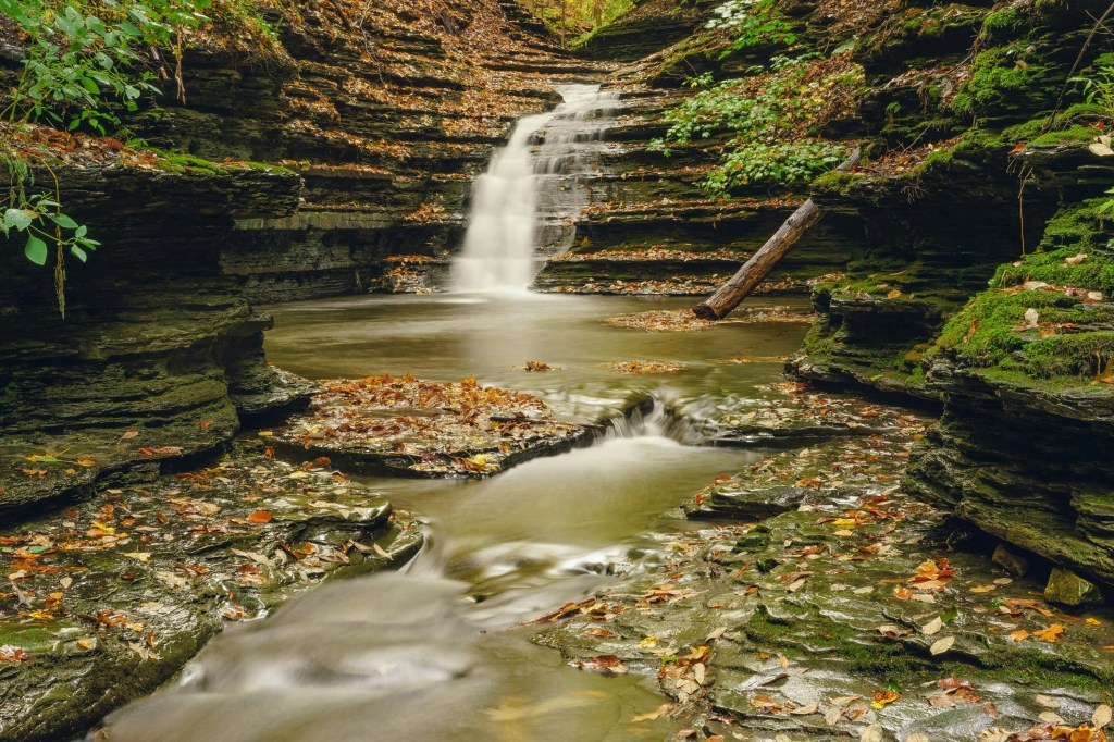 Weekend Adventures in Ithaca: Nature Trails, Waterfalls, and&nbsp;More